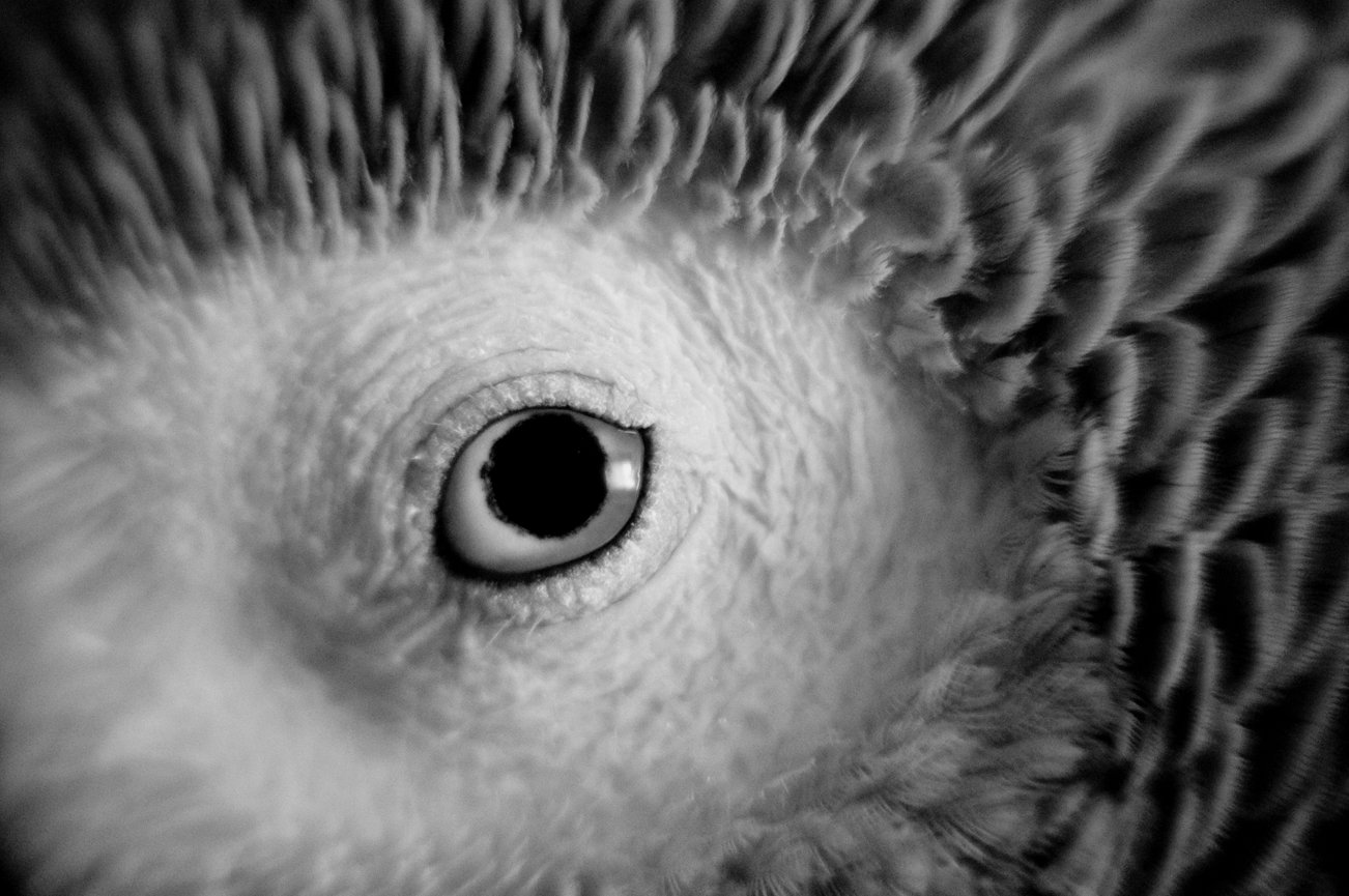 What to expect in a Photo Story Branding Session