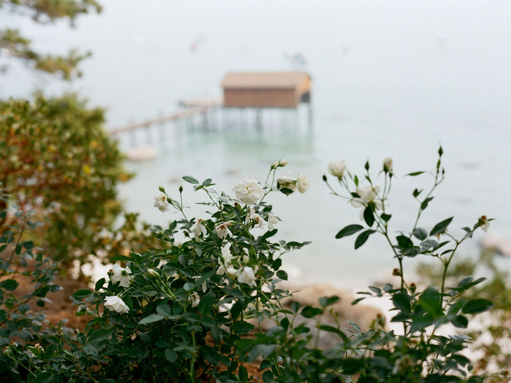 Edgewood Wedding Brunch