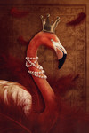4 Fairytale Photoshoot Ideas