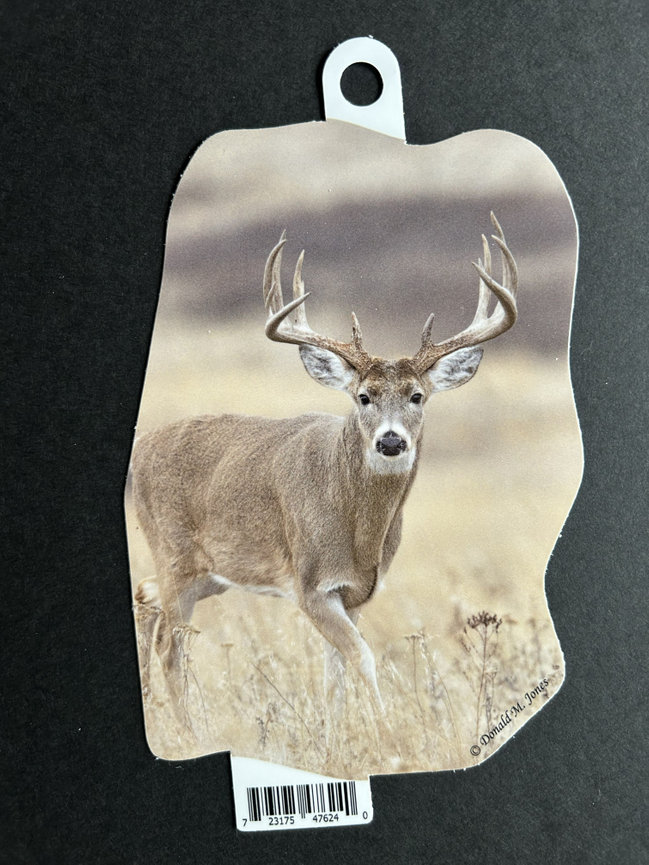 Whitetail Buck S4 698