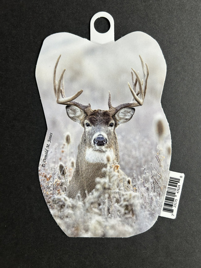Whitetail Deer S4 703