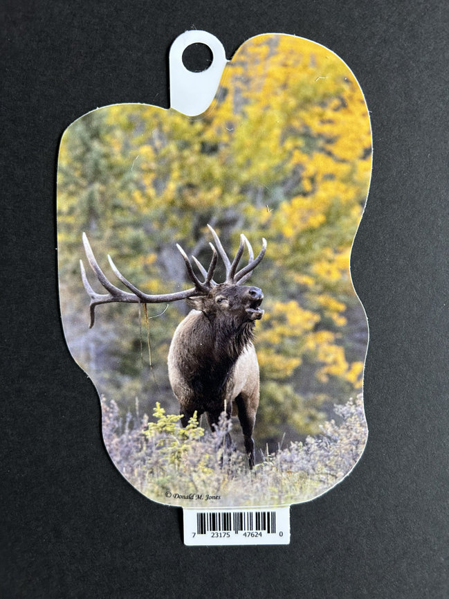 Bull Elk S6 691