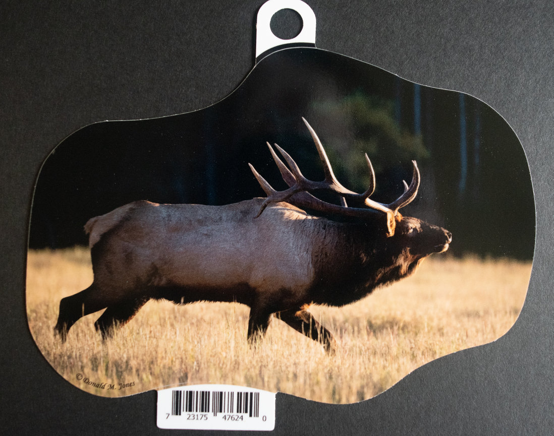 Bull Elk S6 710