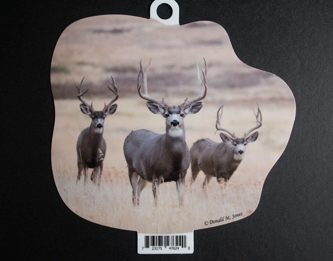 Mule Deer S4 712