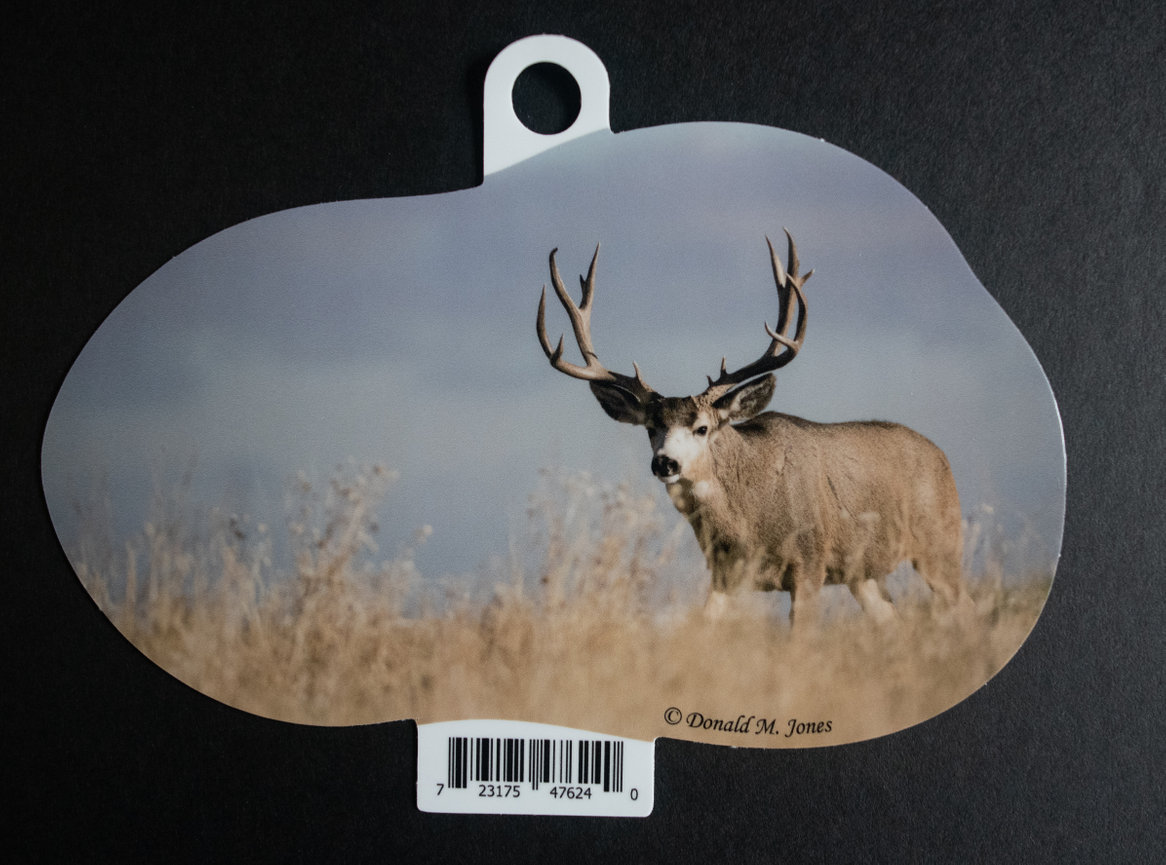 Mule Deer S4 713