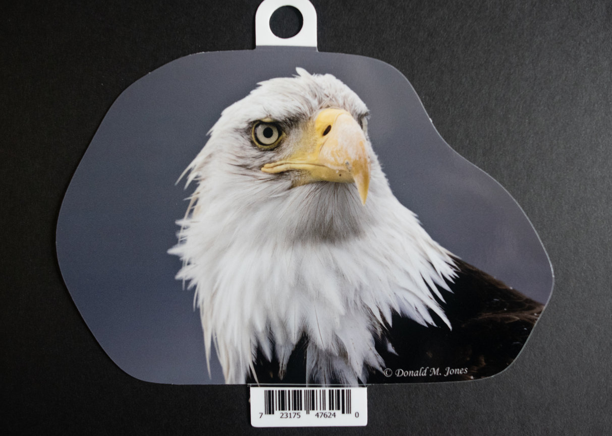 Bald Eagle S4 726