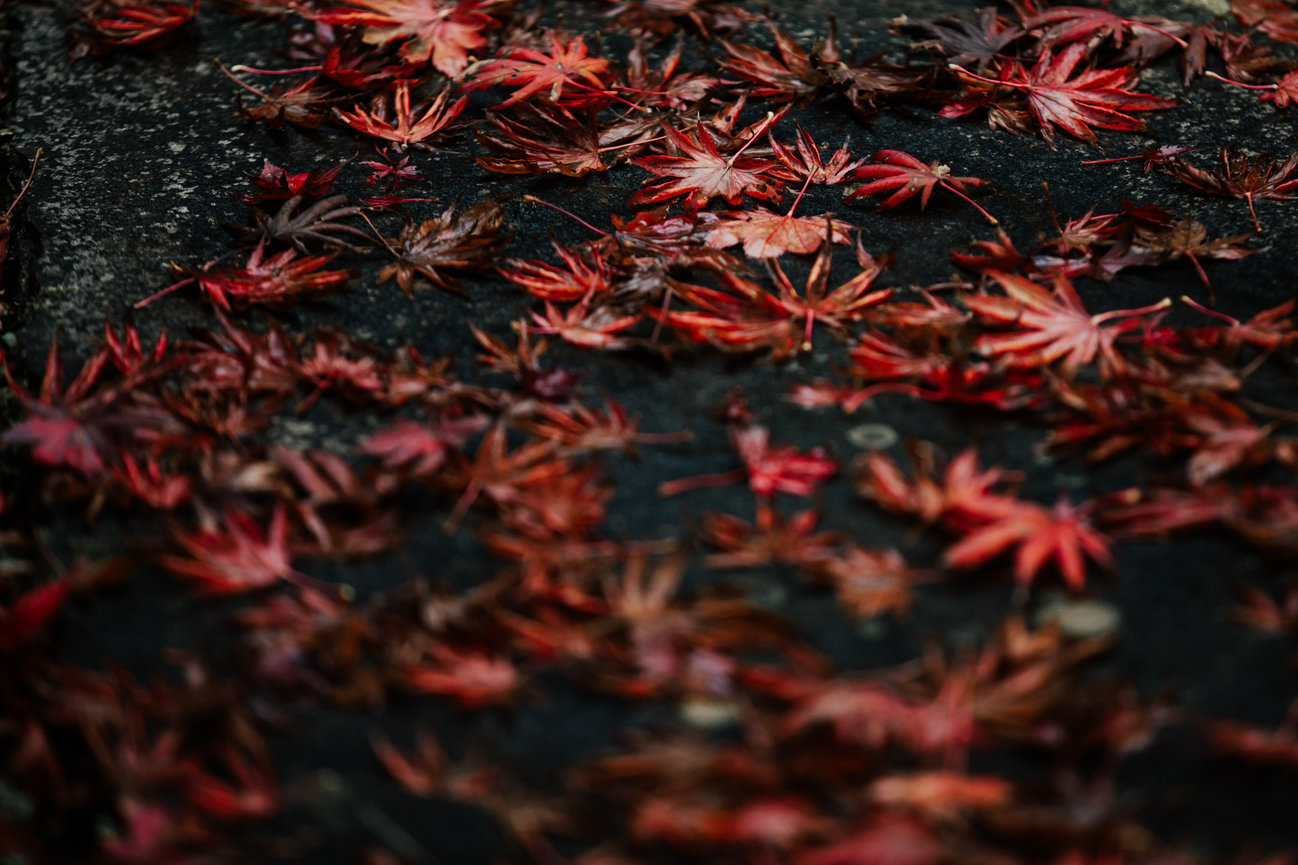 Canyon Kitchen at Lonesome Valley Wedding - Sapphire, NC