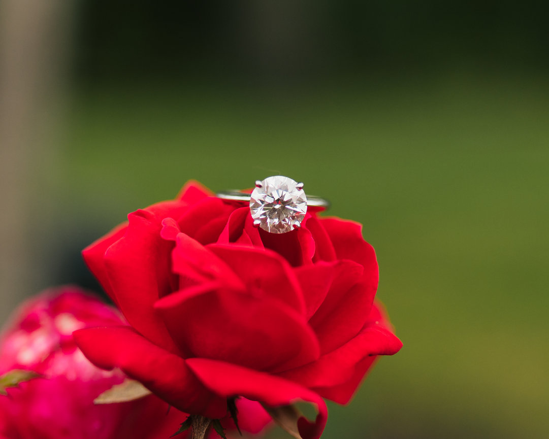 Ryder & Stephany- Engagement- The Claussen House