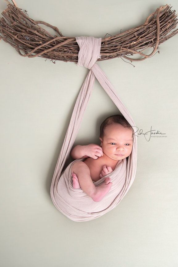 Cake Smash Sessions in Niles and Chicago – Celebrate Your Baby’s First Birthday in Style