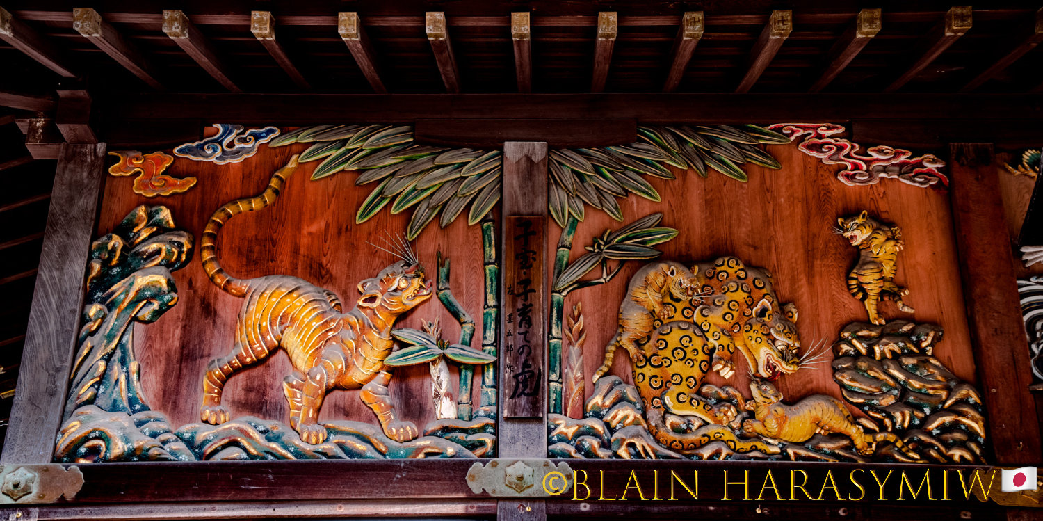 Happy Holidays from Japan Dreamscapes Photography!