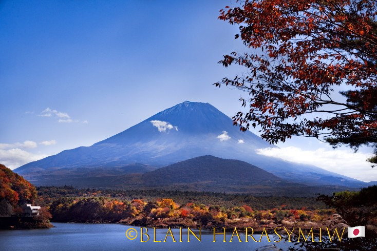 Japan Autumn Leaves Tour – Capture the Colors of Fall with JDS