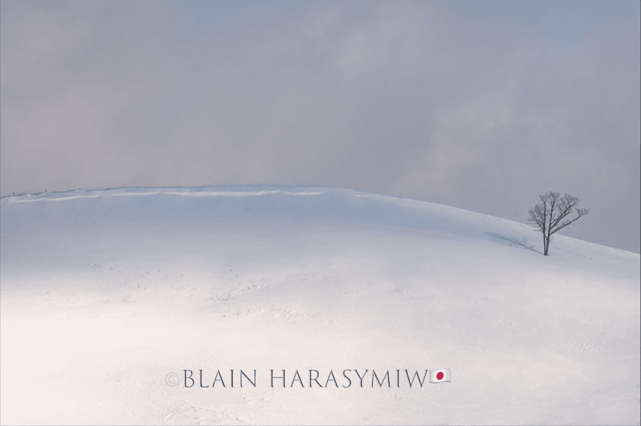 Discover Matsumoto Castle on a Hokkaido Photo Tour with JDS!