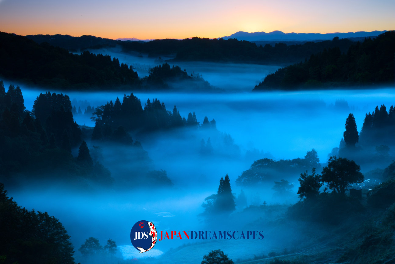 Japan Autumn Leaves Tour – Capture the Colors of Fall with JDS