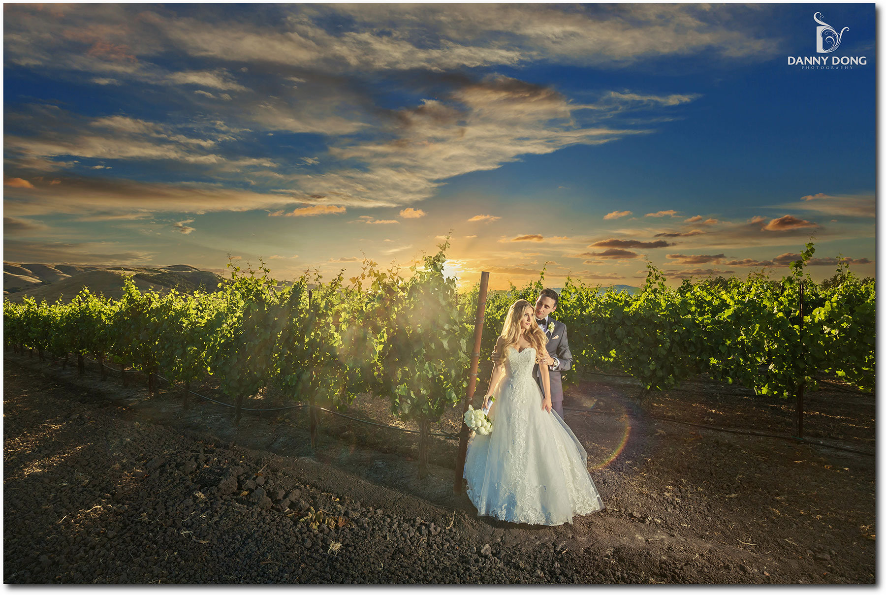 MISSION SONOMA & GLORIA FERRER WINERY WEDDING : SONOMA, CA - Danny Dong  Photography
