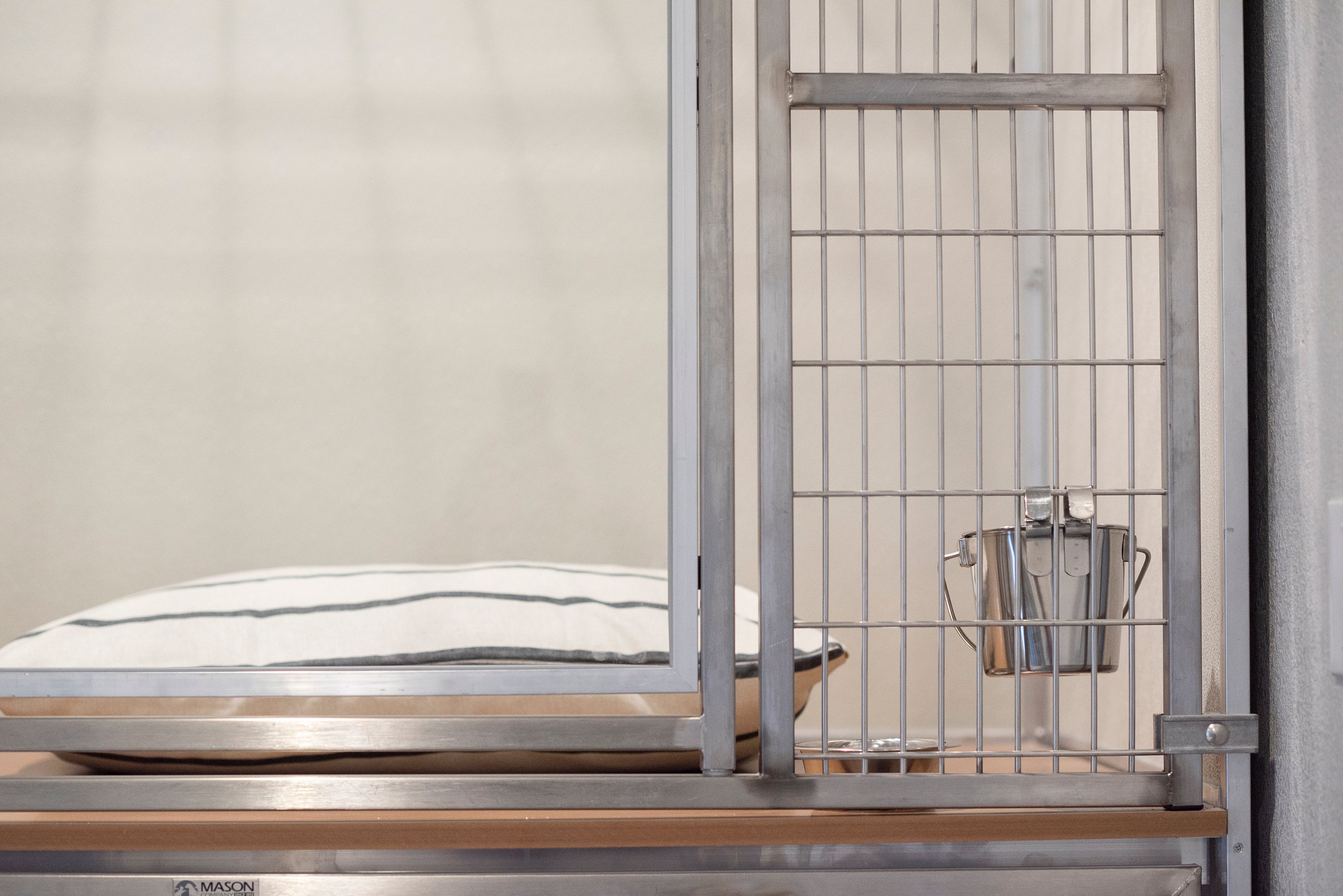 BOUTIQUE BOARDING Amarillo Fetch