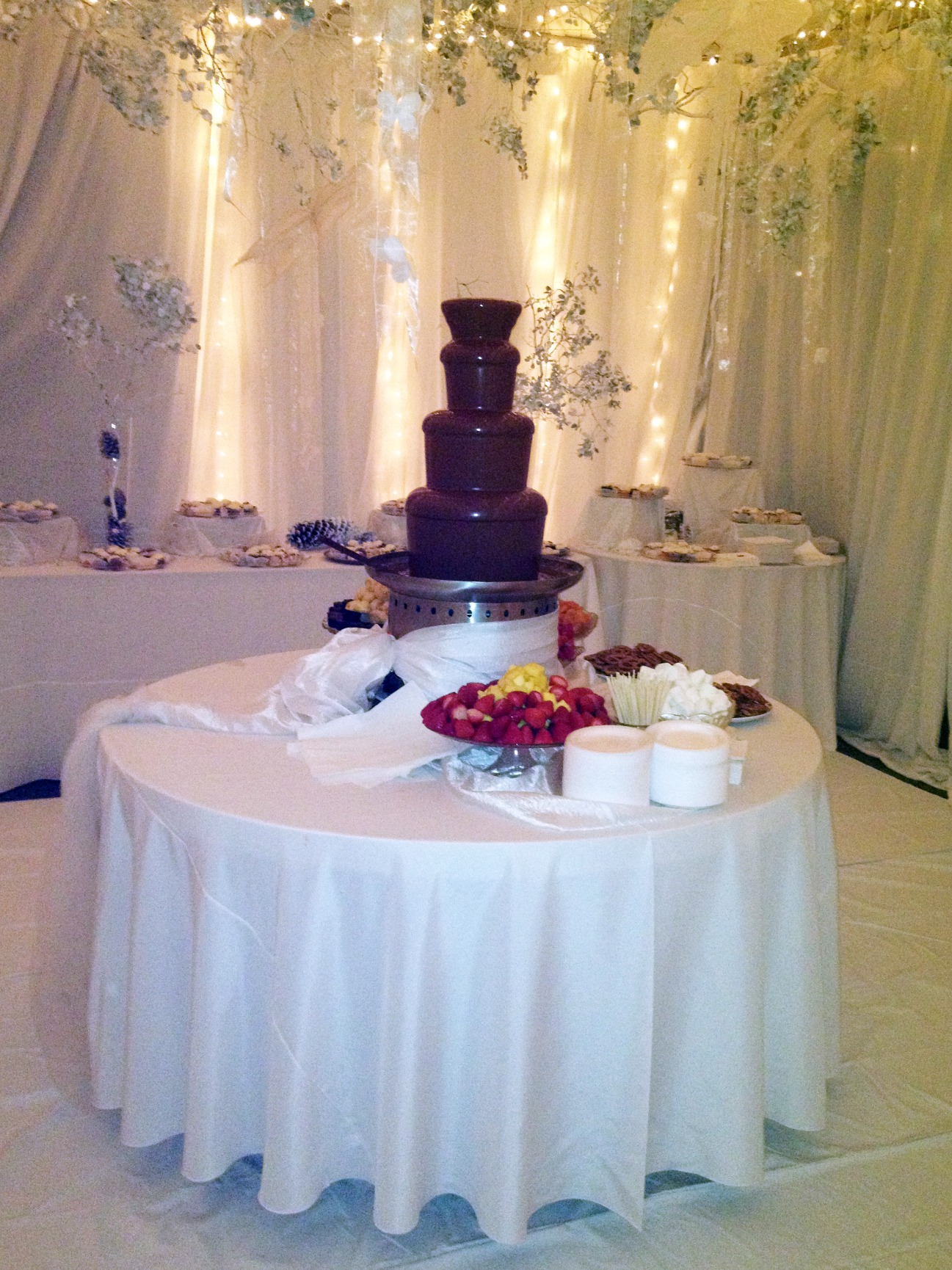 Chocolate Fountains in Sacramento, Vacaville, San Francisco, San Jose