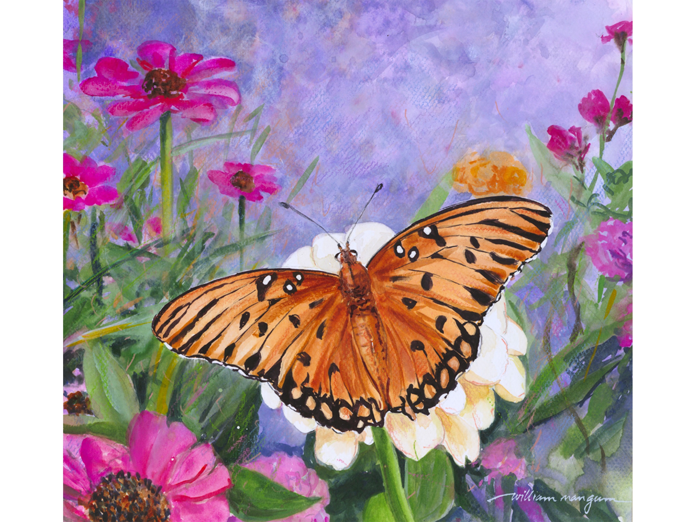 Butterflies - William Mangum Fine Art