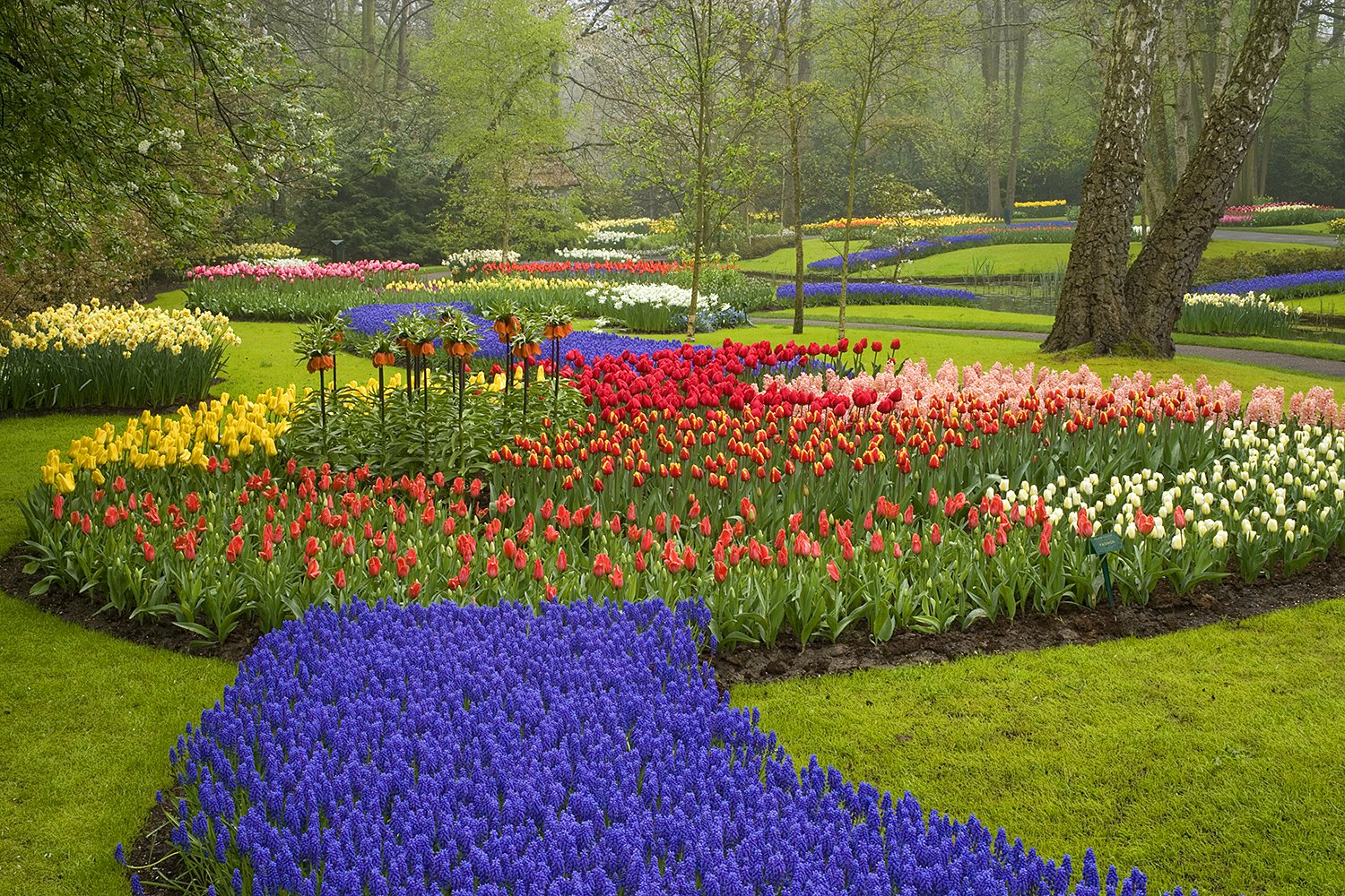 Keukenhof Gardens - Jim Zuckerman photography & photo tours