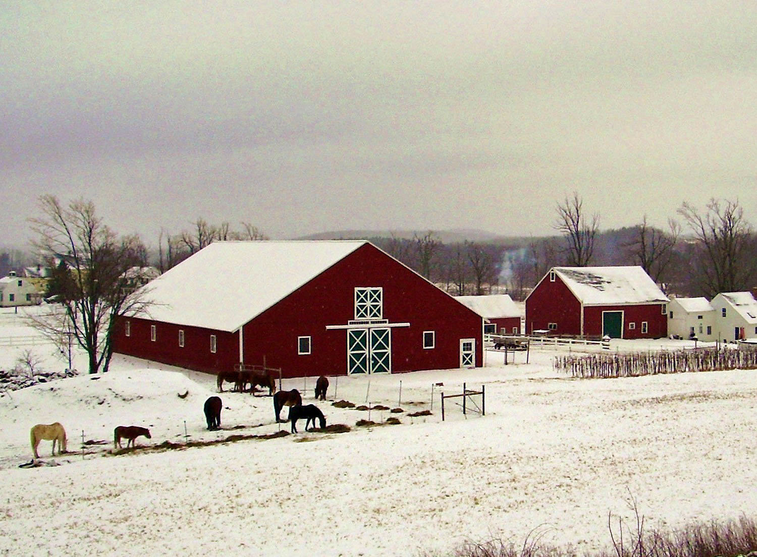 Mesa Farm