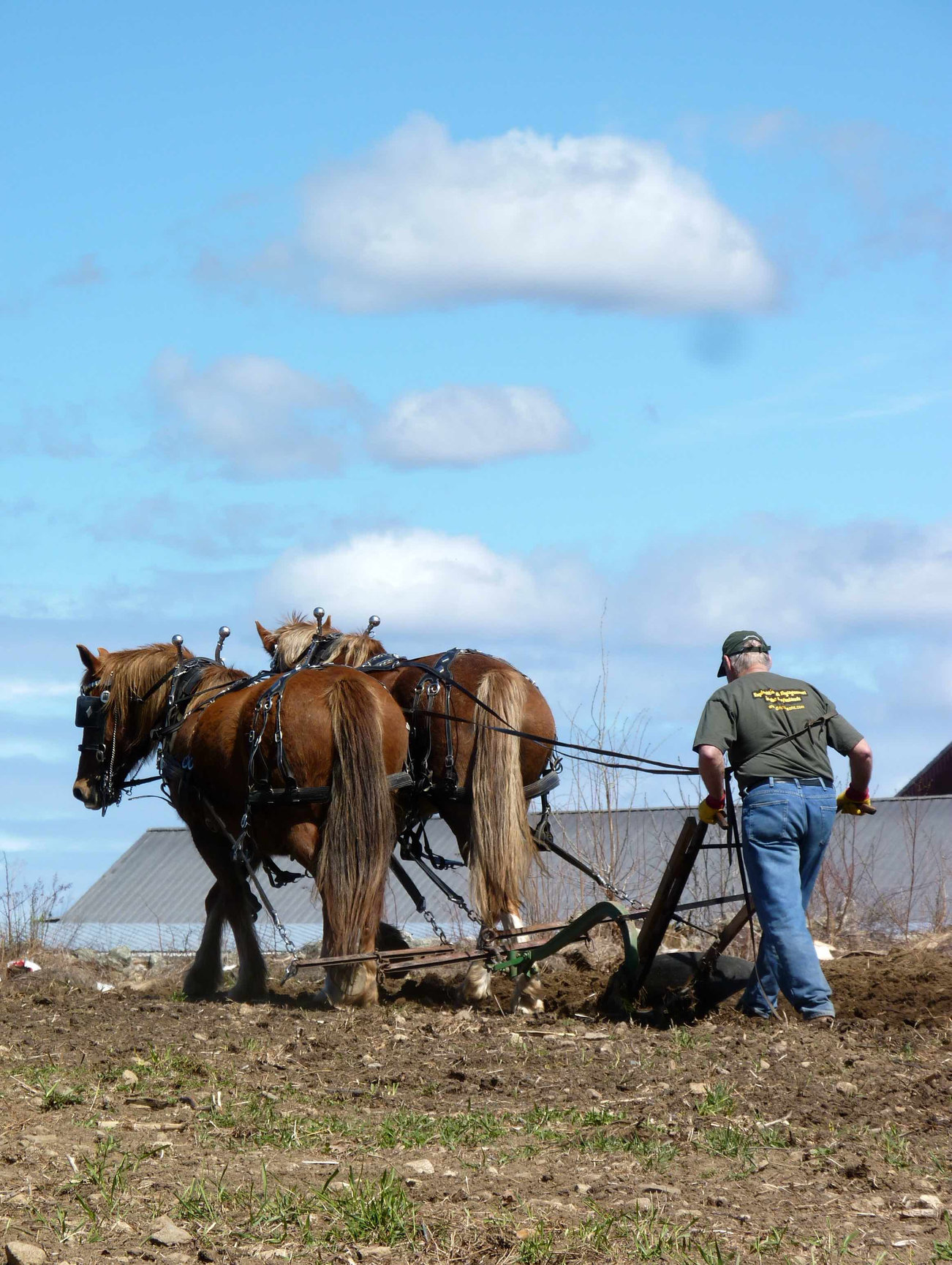 Mesa Farm