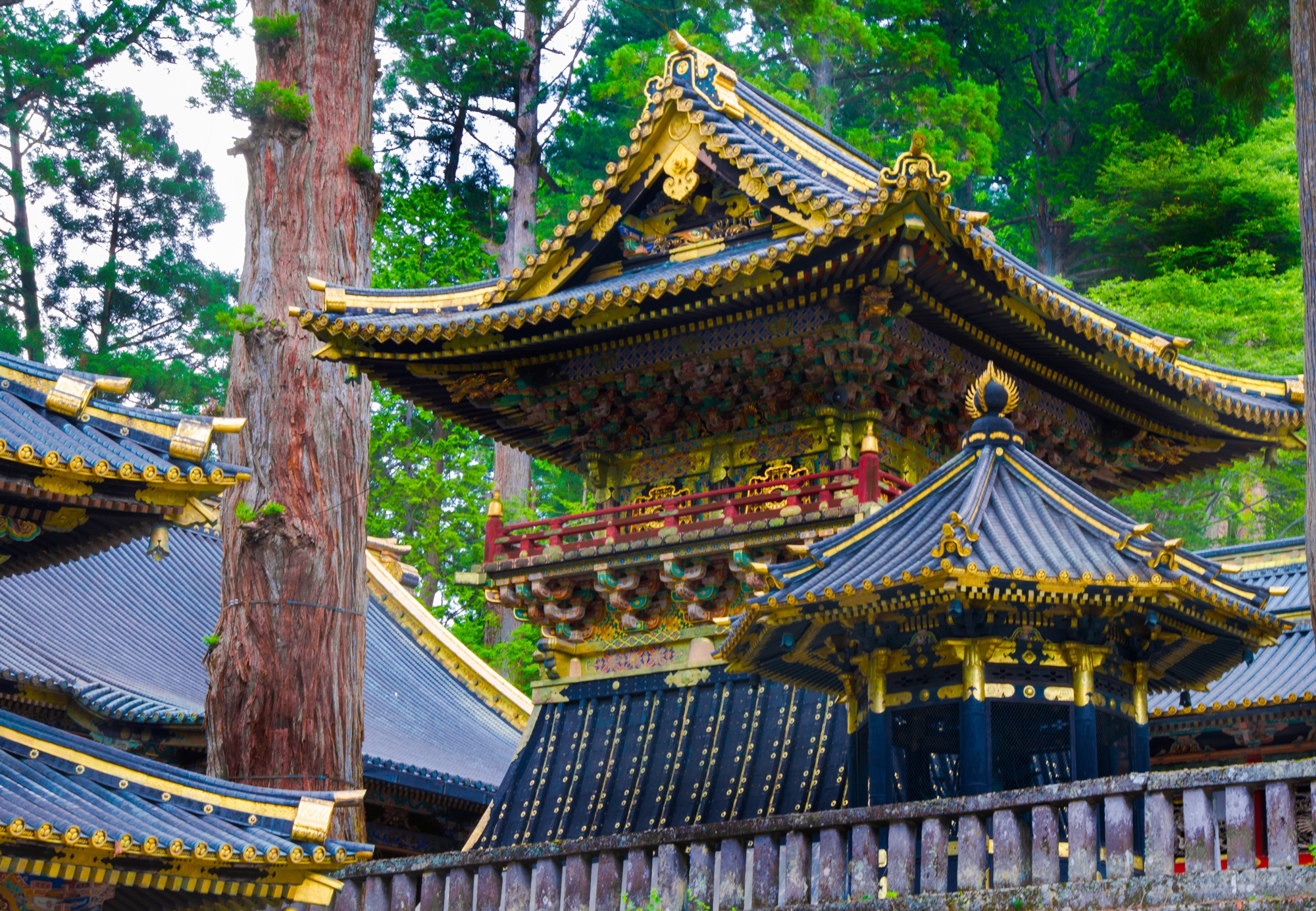 Japan Photo Tours | Blain Harasymiw Photography