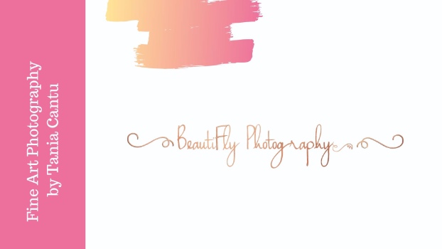 Beautifly Photography