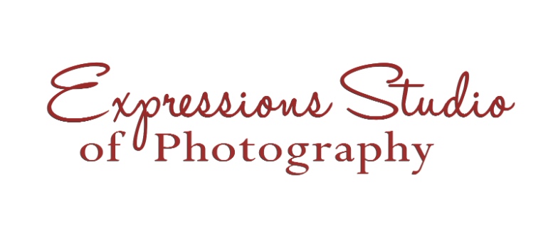 Expressions Studio Logo