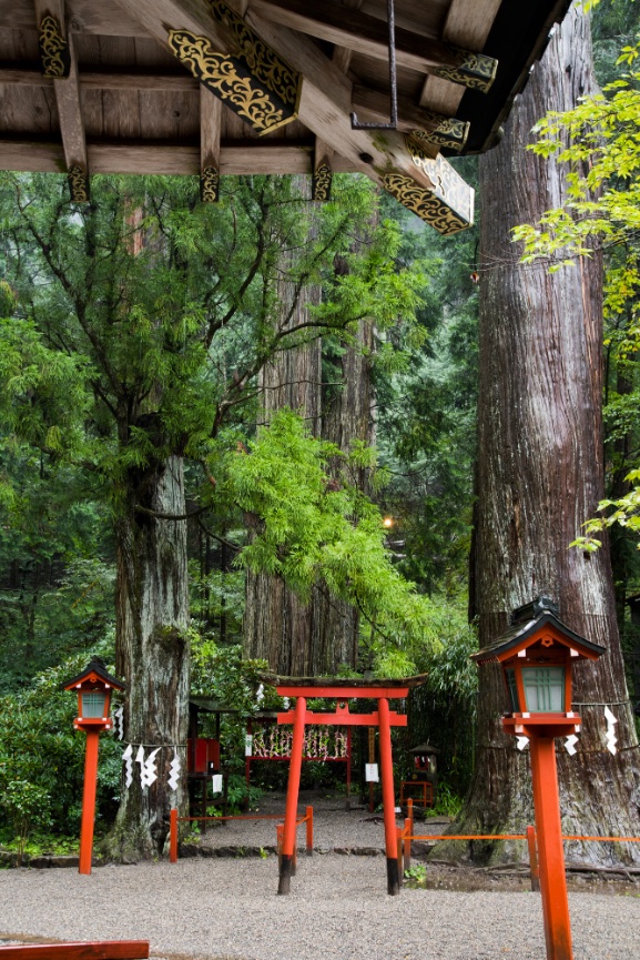 July 22 Nikko Mt Fuji Hakone Blain Harasymiw Photography