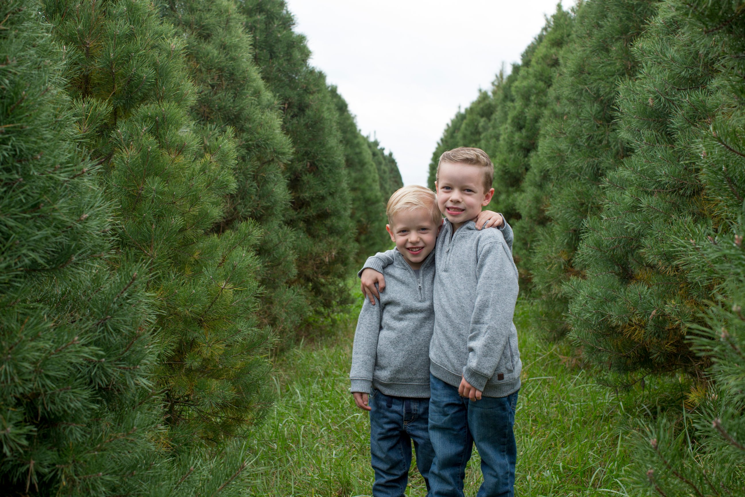 Christmas Tree Farm Kansas City 