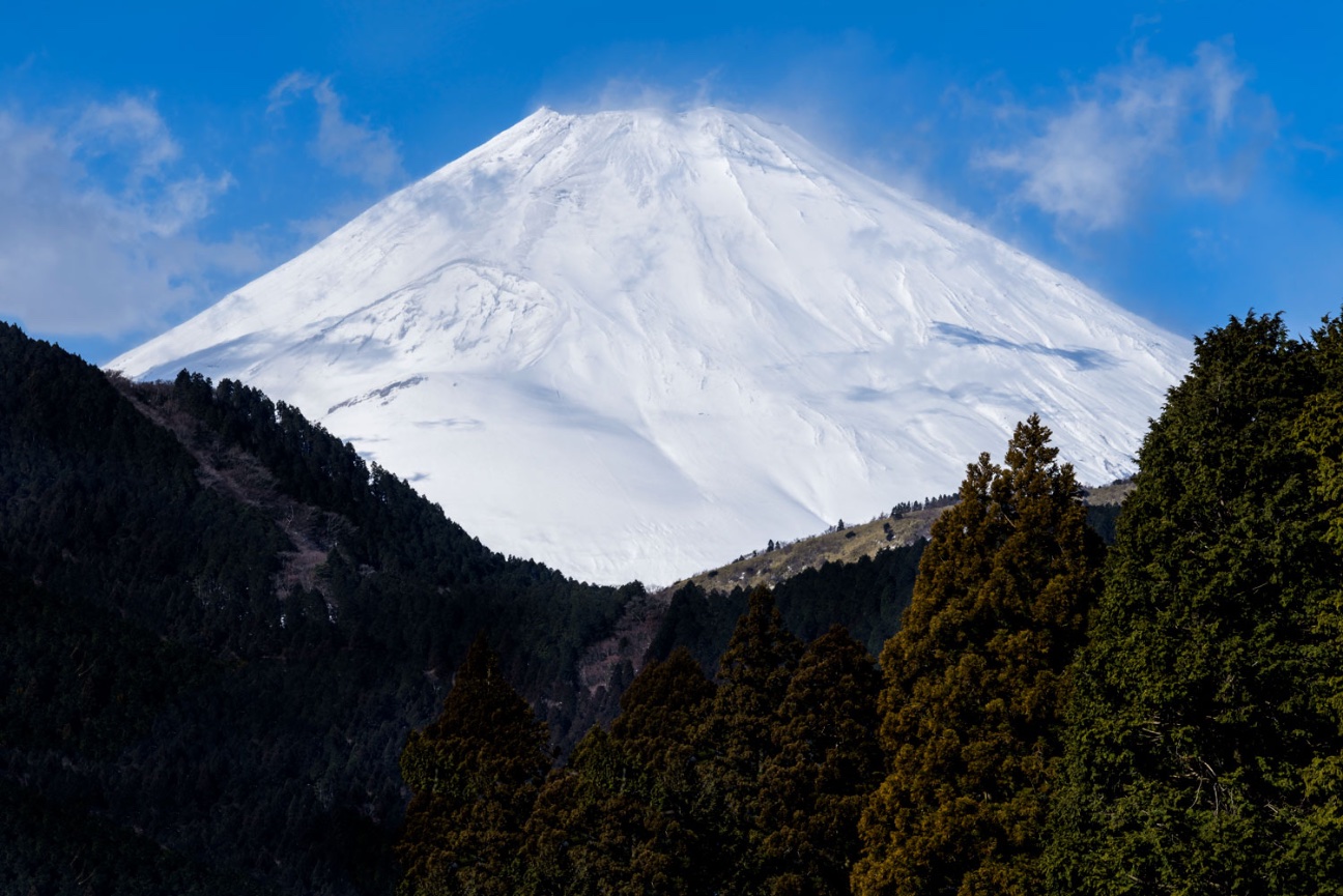Feb 2023 Mt. Fuji Snow Monkey & Landscape - Blain Harasymiw