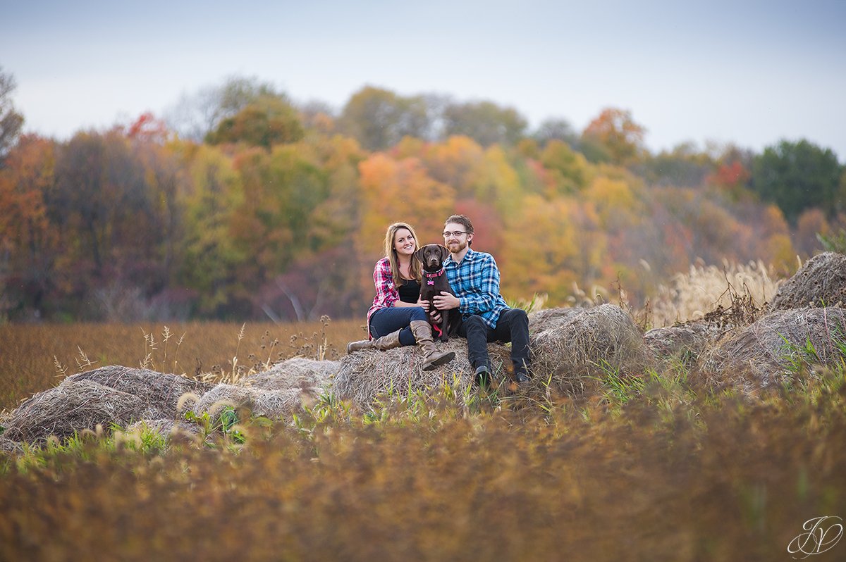 romantic fall engagement pictures with dog