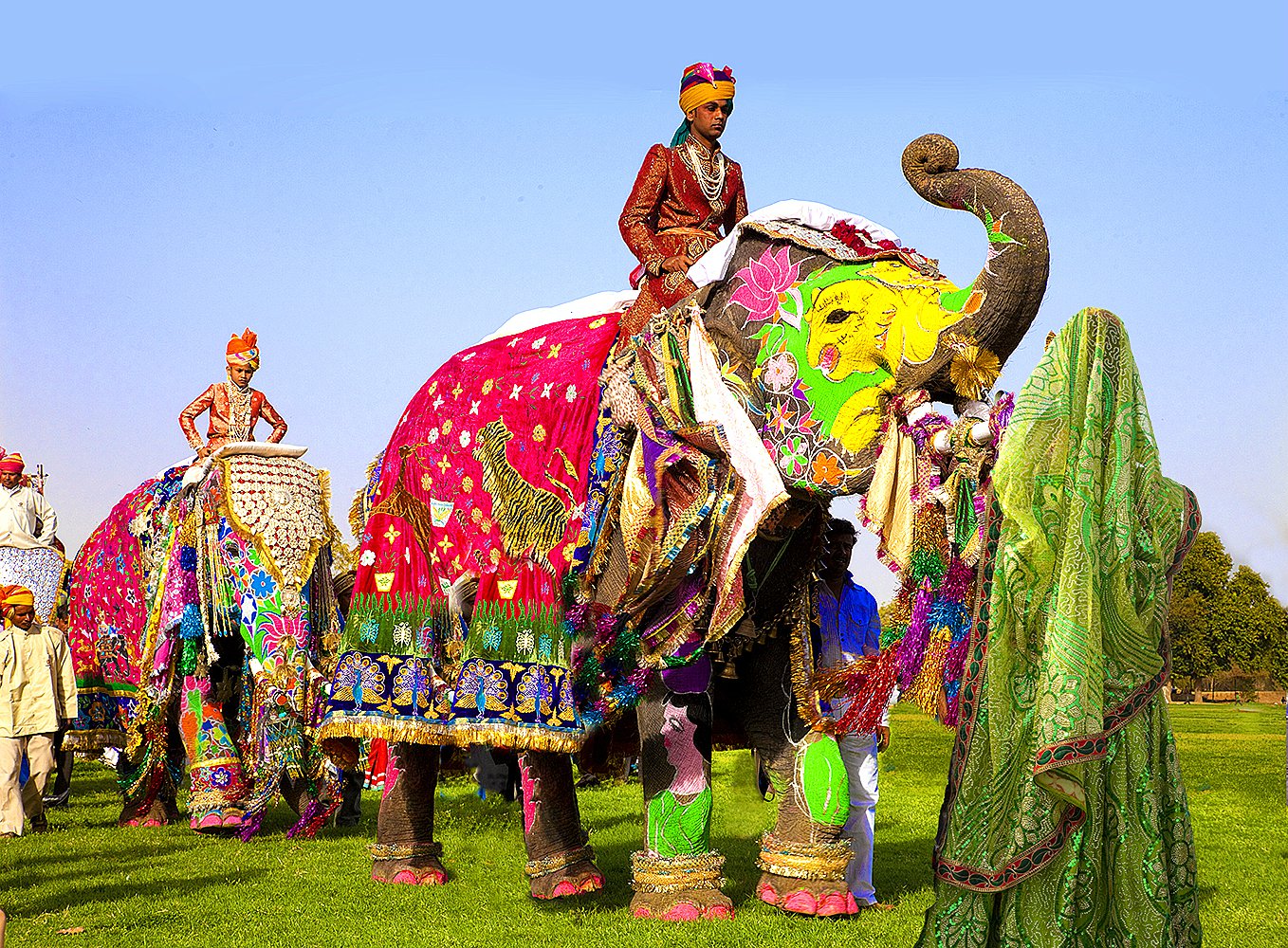 India Elephant Festival