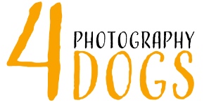 4Dogs Photography Logo