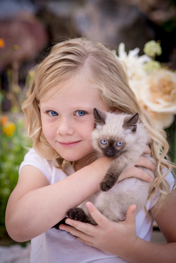 A young girl posing for a portrait with a kitty with blue eyes.