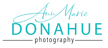 Ann M. Donahue Logo