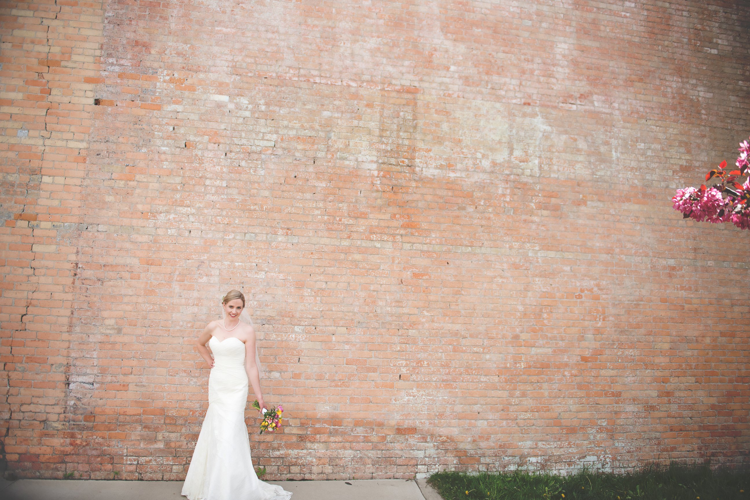 wedding Soul Focus Photography