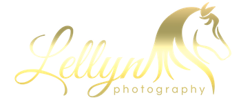 Lynne Ellyn Logo