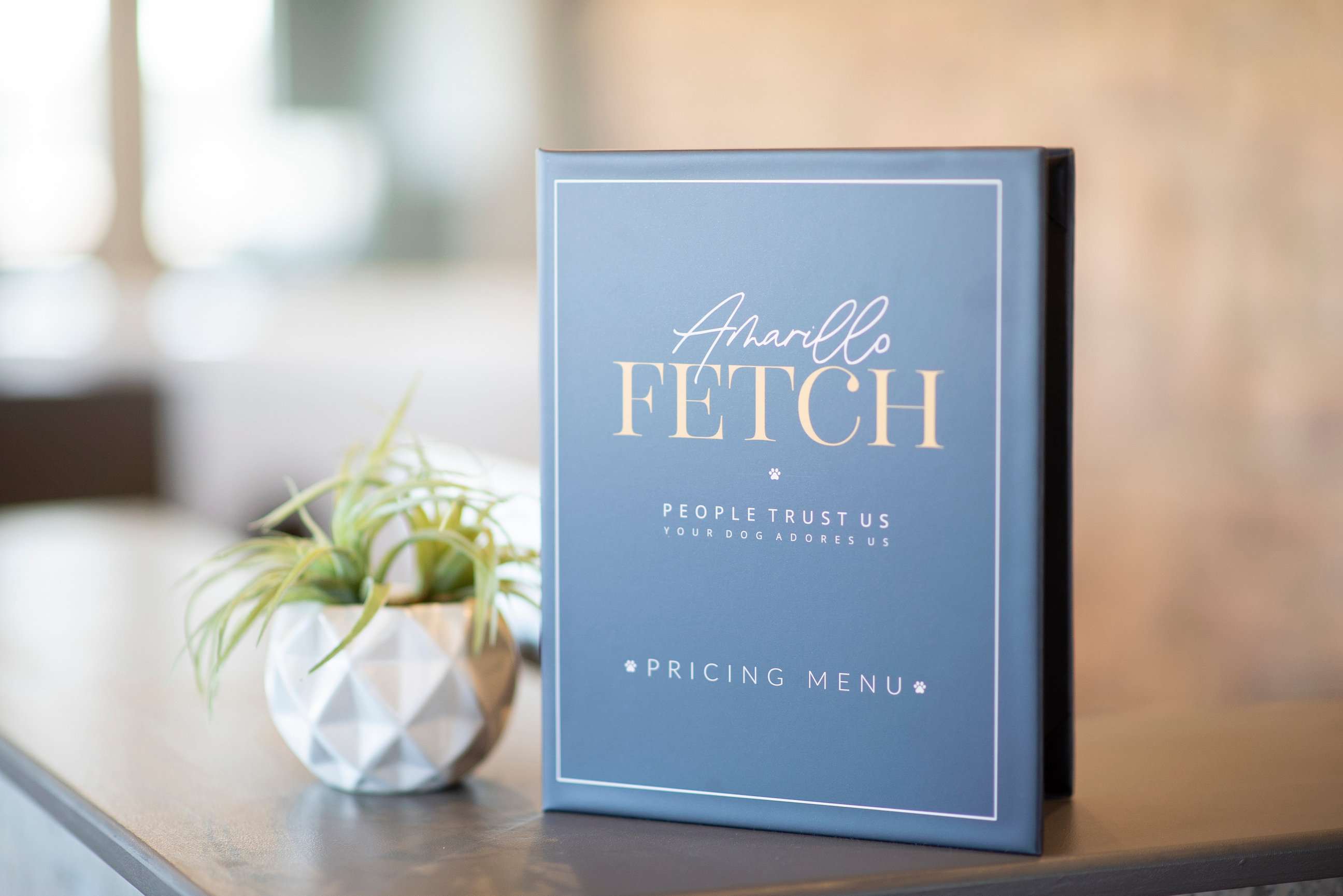 Navigating the Holidays A Guide to Doggy Boarding Amarillo Fetch