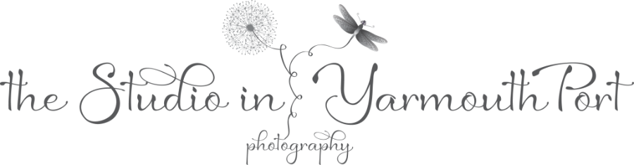 the Studio in YarmouthPort photography Logo