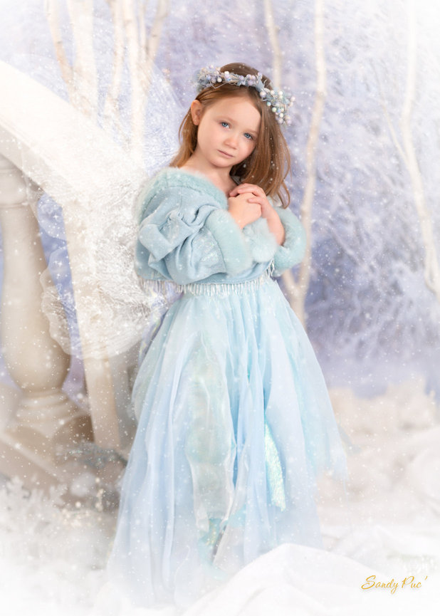 green emerald velvet dress Snow Fairy Party Dress| Special Occasion Dress| Miss Ayana Rose