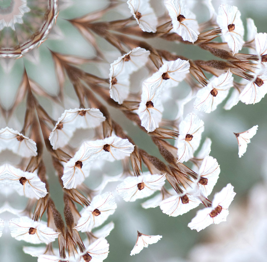 FLORAL ART | KALEIDOSCOPES | Susan Phelps Photography | WOKINGHAM