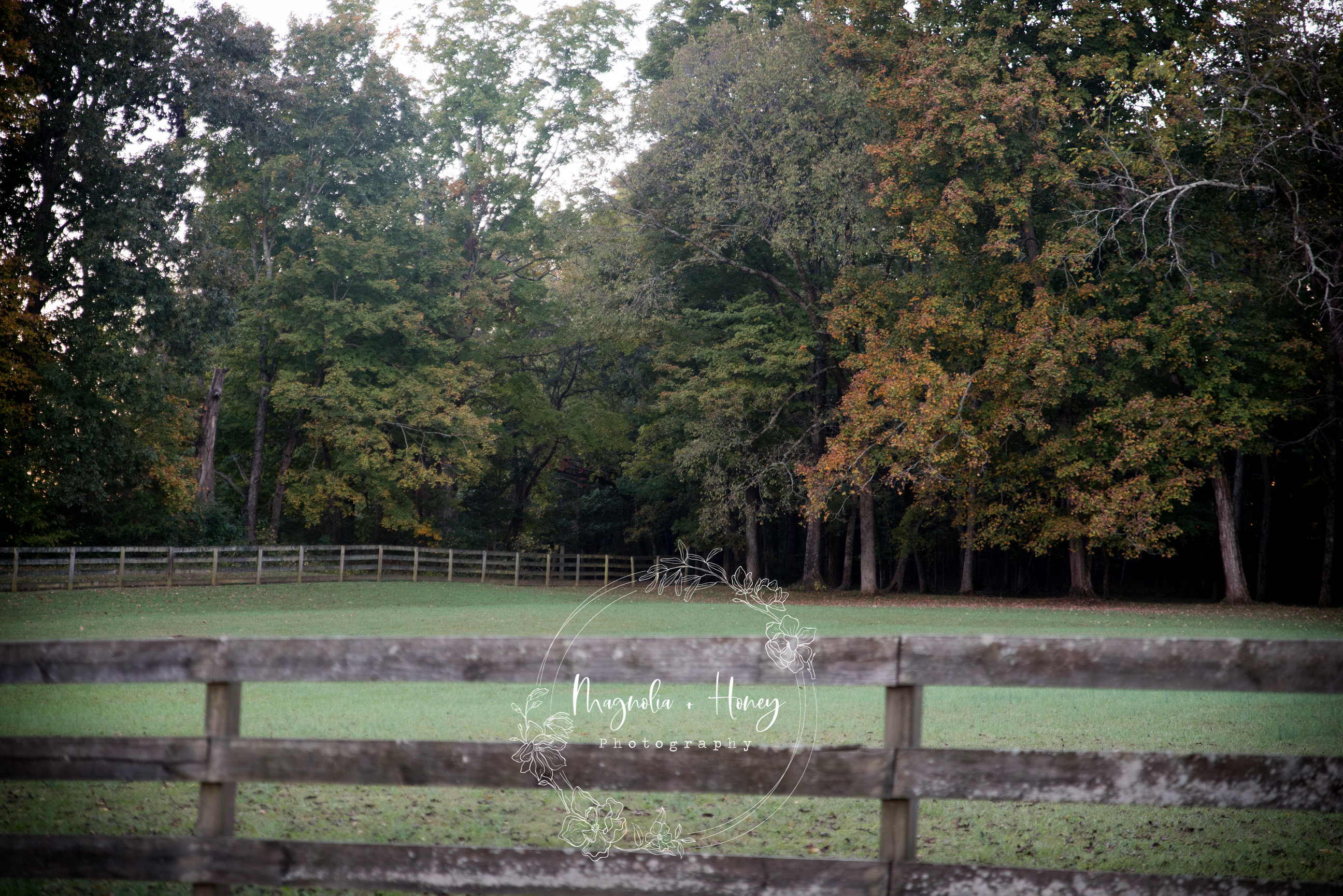 Rural Hill Farm Mt. Juliet, Tennessee Magnolia + Honey Photography