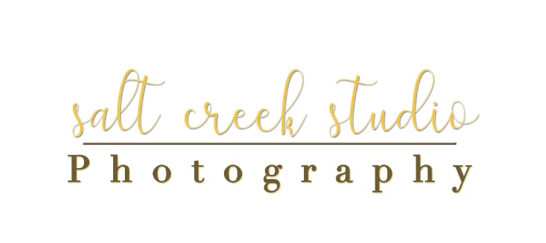 Salt Creek Studio Logo
