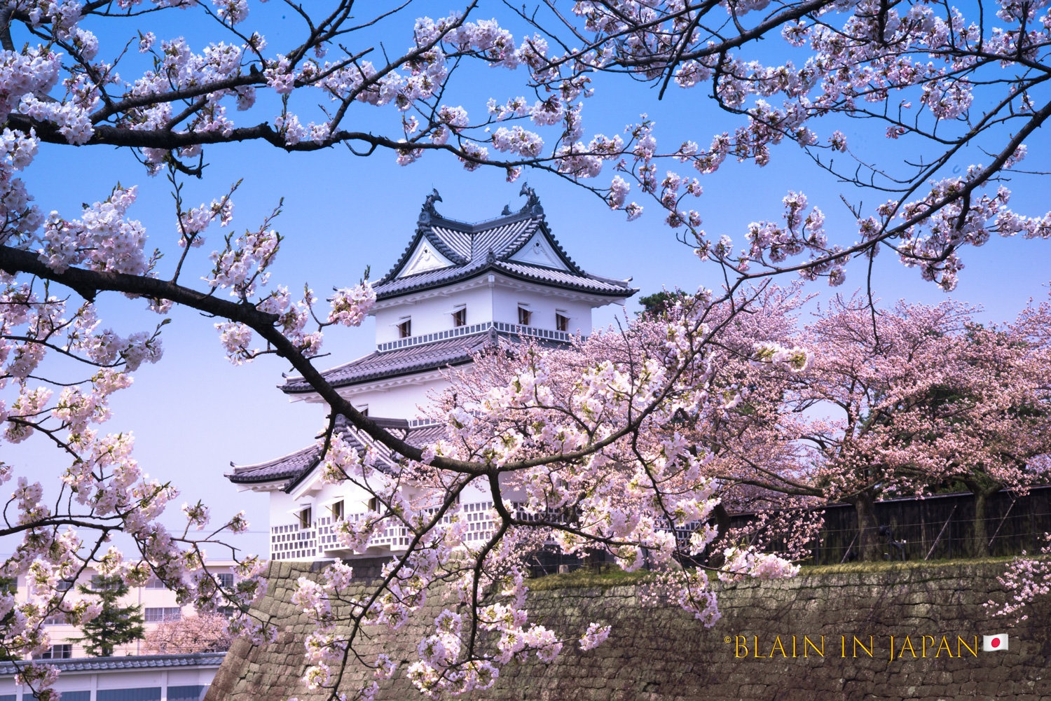 blossom landscaping