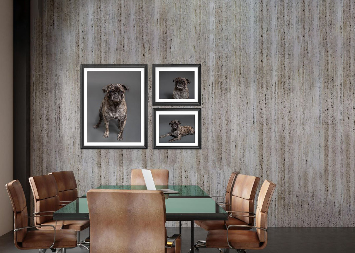 Custom framed artwork of your pet’s photo