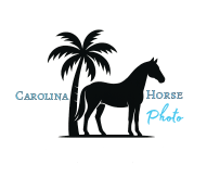 HEATHER JOHNSON PHOTO Logo