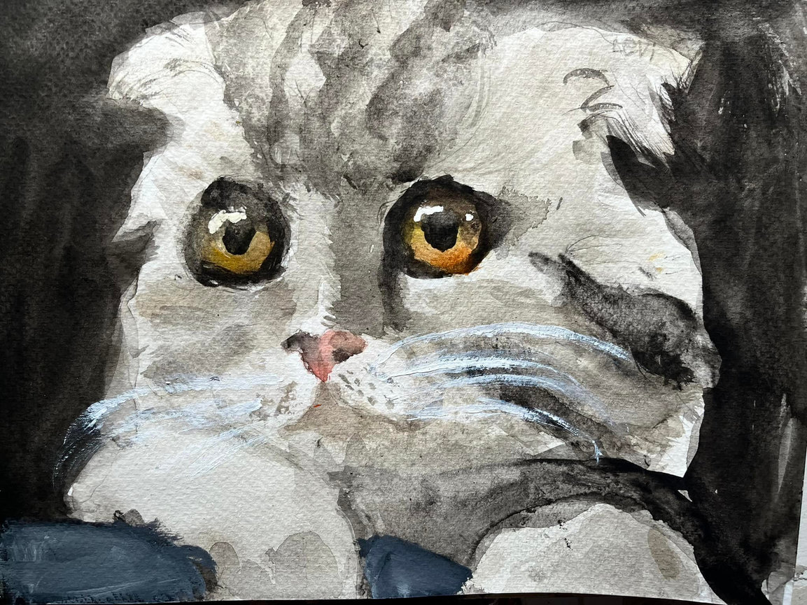 Levi's Online Art Store - Levi's Art