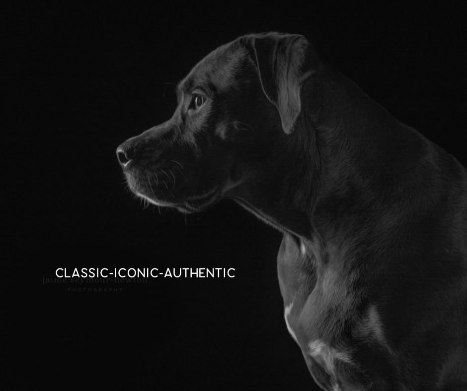 NC Fine Art Portrait Photographer Jaime Seymour-Newton