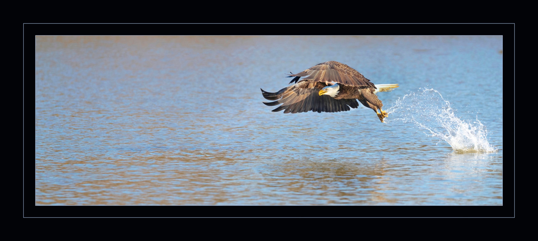 Virginia Professional Photographer's Association (VPPA)