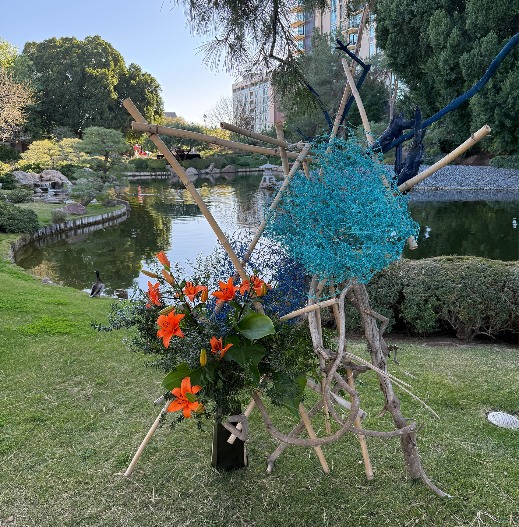 About Carol Brecker | Brecker Arts | Phoenix, Az